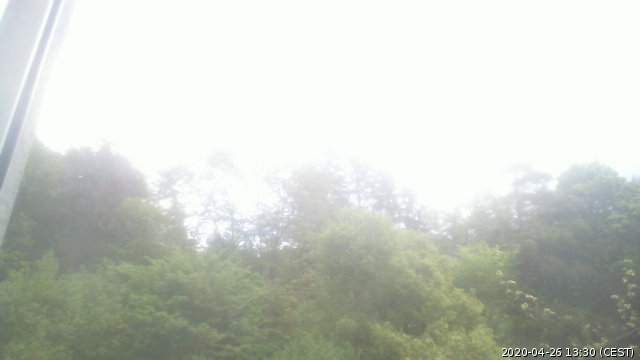 A View